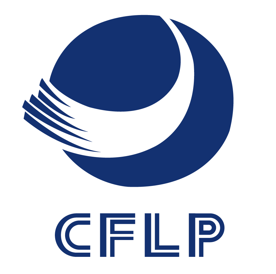 连续13年居全球第一 中国网络消费延续向好向新态势